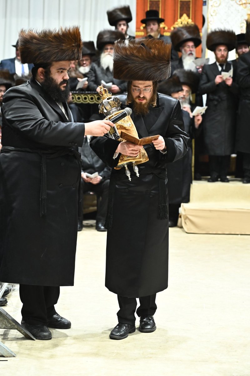 שוקי לרר