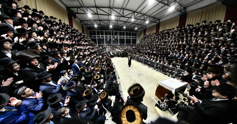 שוקי לרר