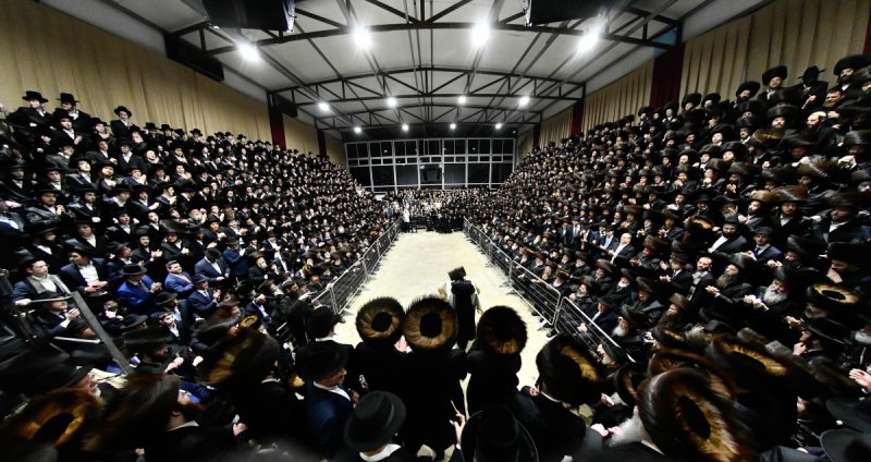 שוקי לרר
