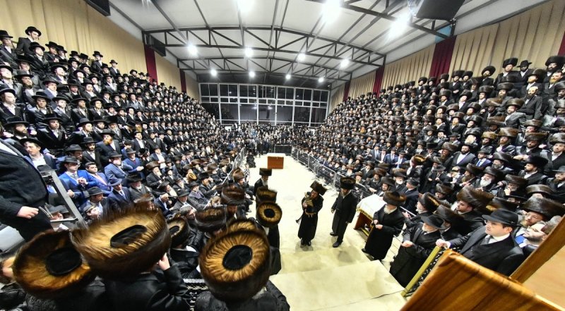 שוקי לרר