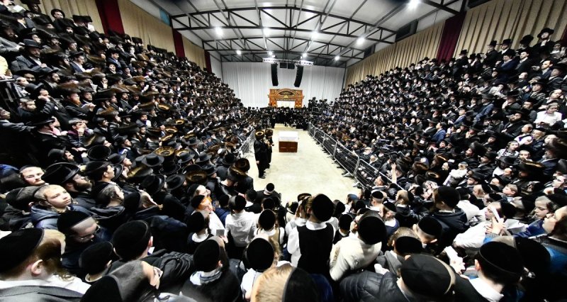 שוקי לרר