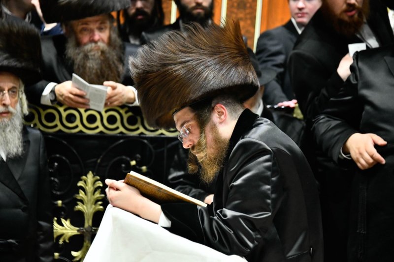 שוקי לרר