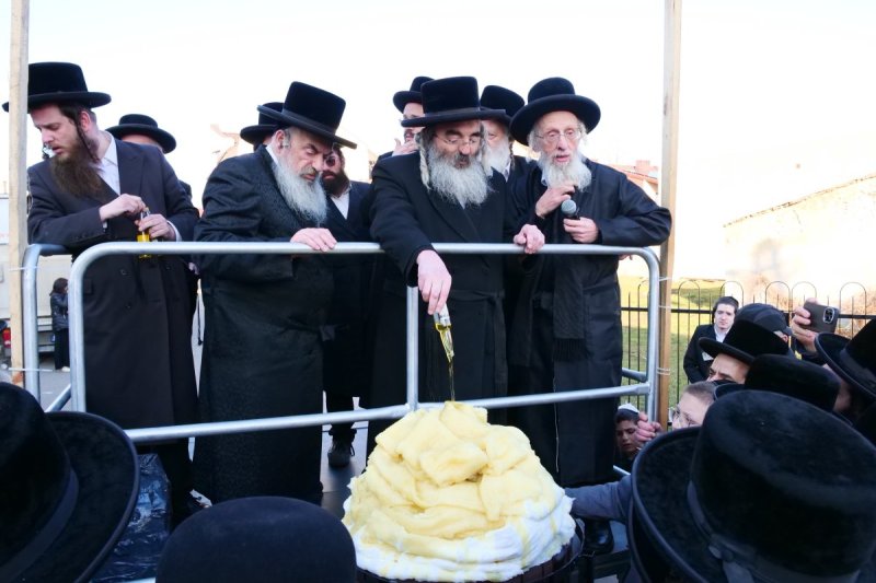 יוסף אילוז