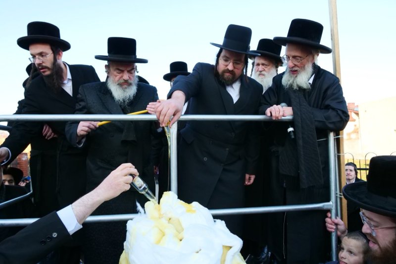 יוסף אילוז