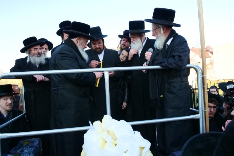 יוסף אילוז