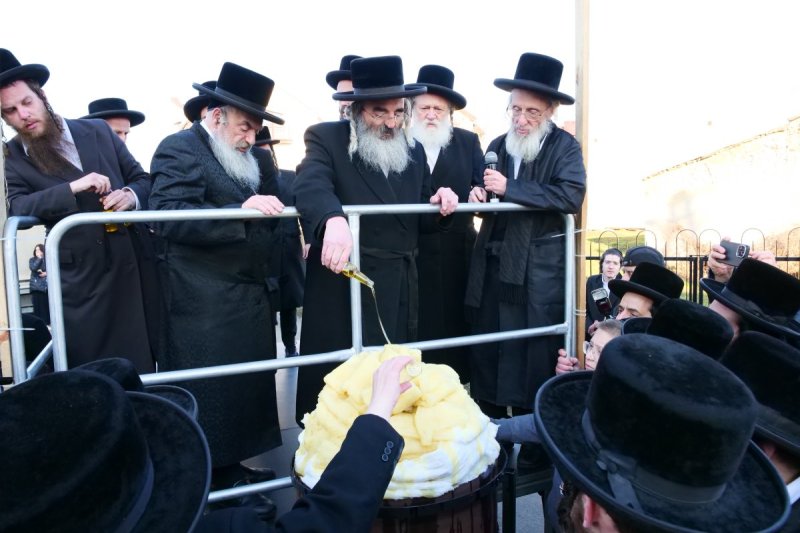 יוסף אילוז