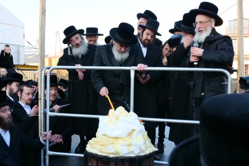 יוסף אילוז