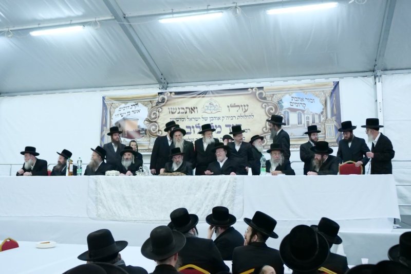יוסף אילוז