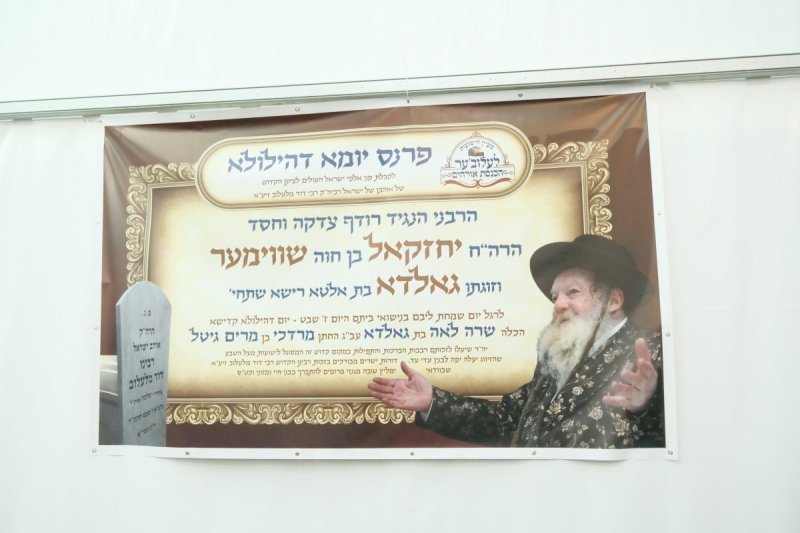 יוסף אילוז