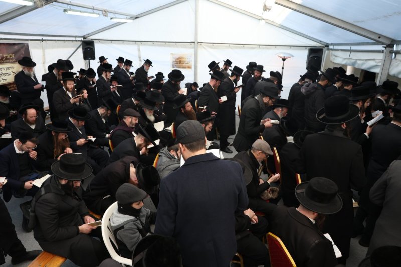 יוסף אילוז