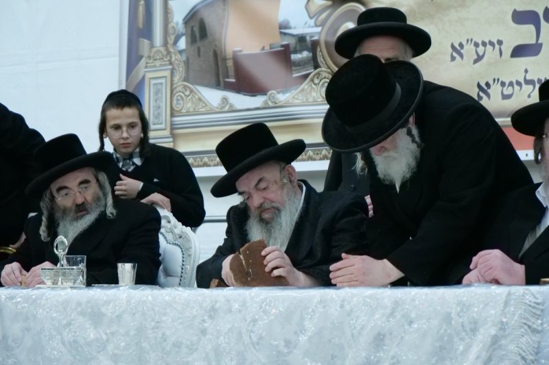 יוסף אילוז
