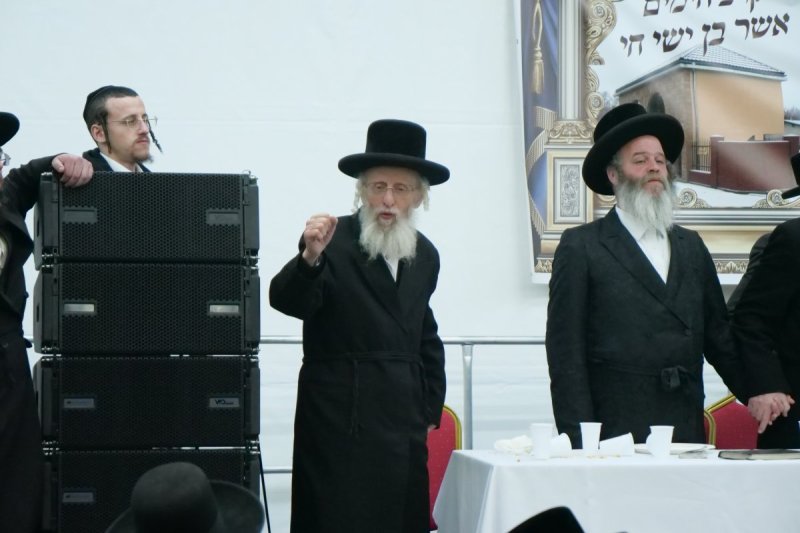 יוסף אילוז