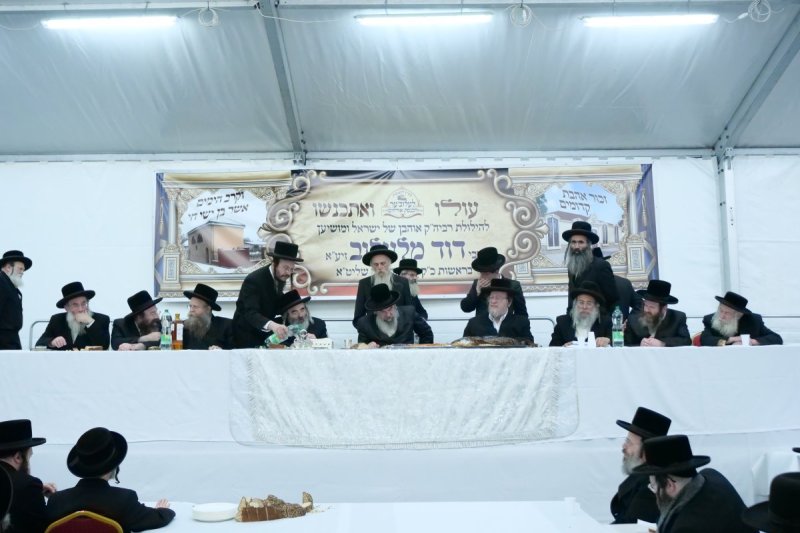 יוסף אילוז