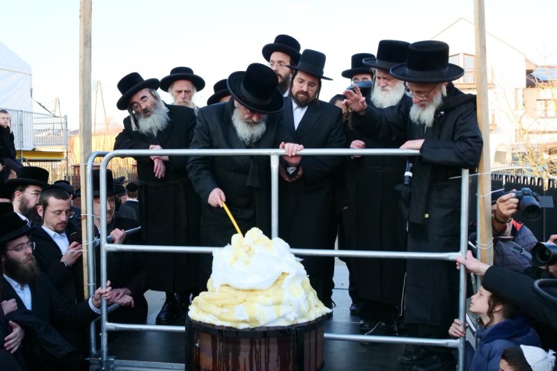 יוסף אילוז