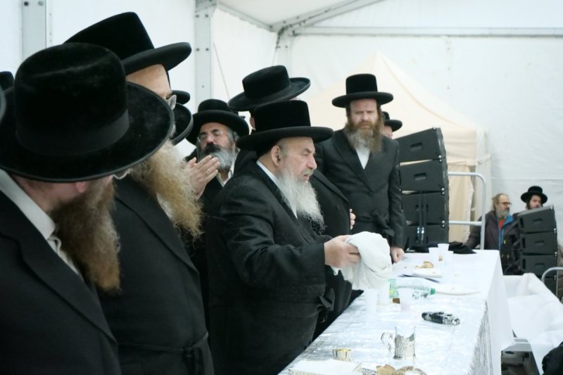 יוסף אילוז