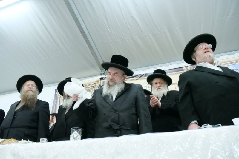 יוסף אילוז