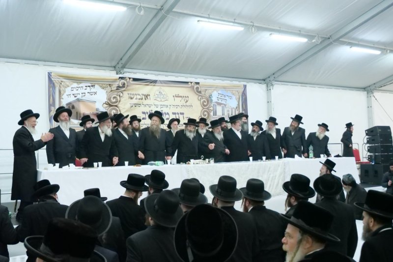 יוסף אילוז