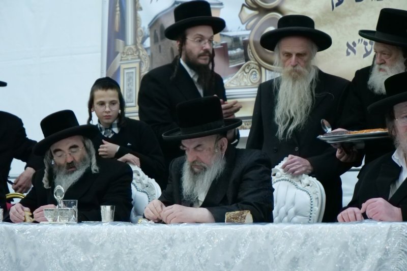 יוסף אילוז