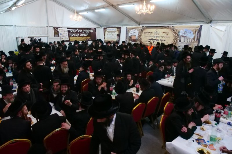 יוסף אילוז