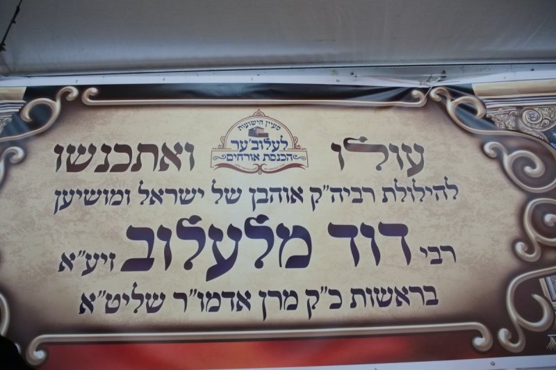 יוסף אילוז