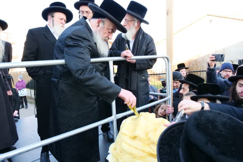 יוסף אילוז