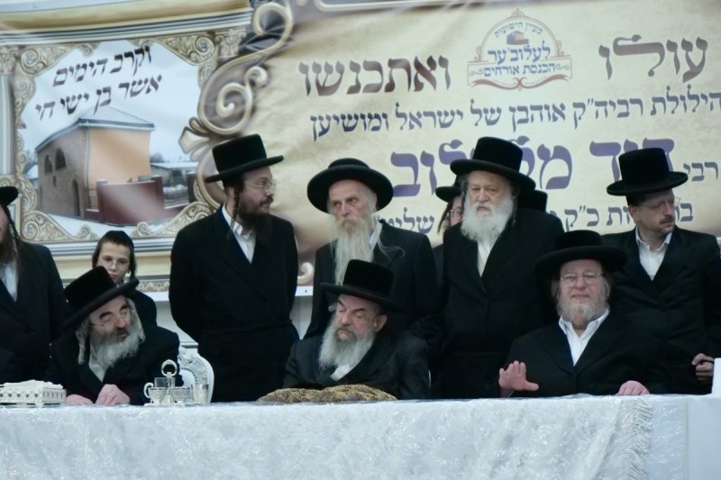 יוסף אילוז