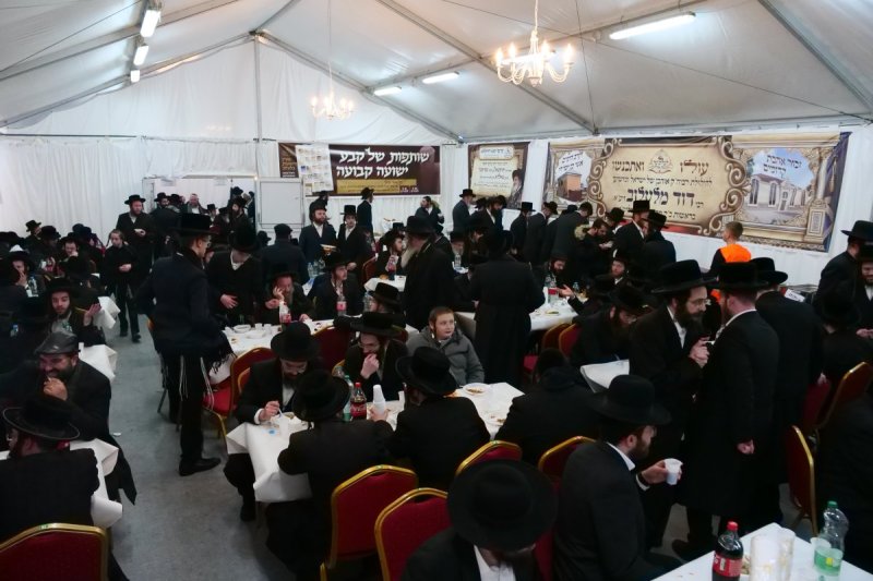 יוסף אילוז