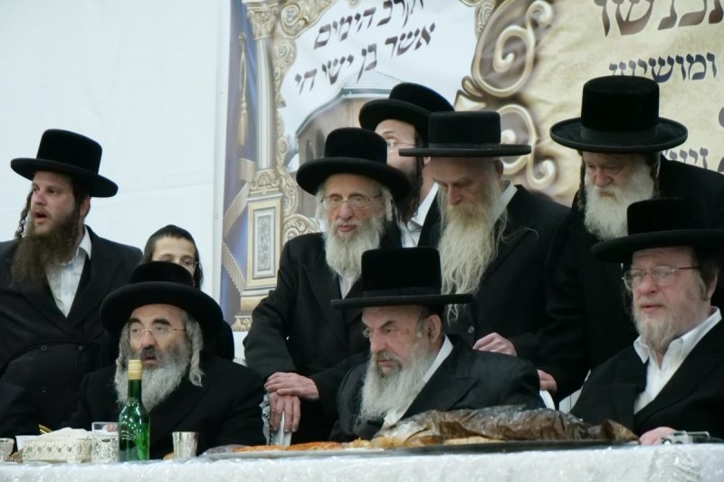 יוסף אילוז