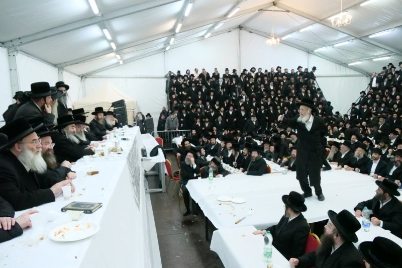 יוסף אילוז