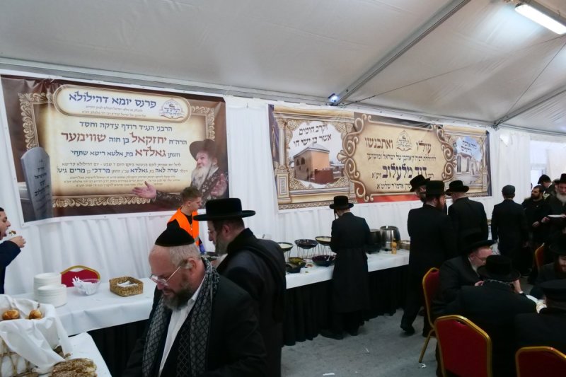 יוסף אילוז