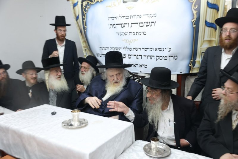 לוי עמית