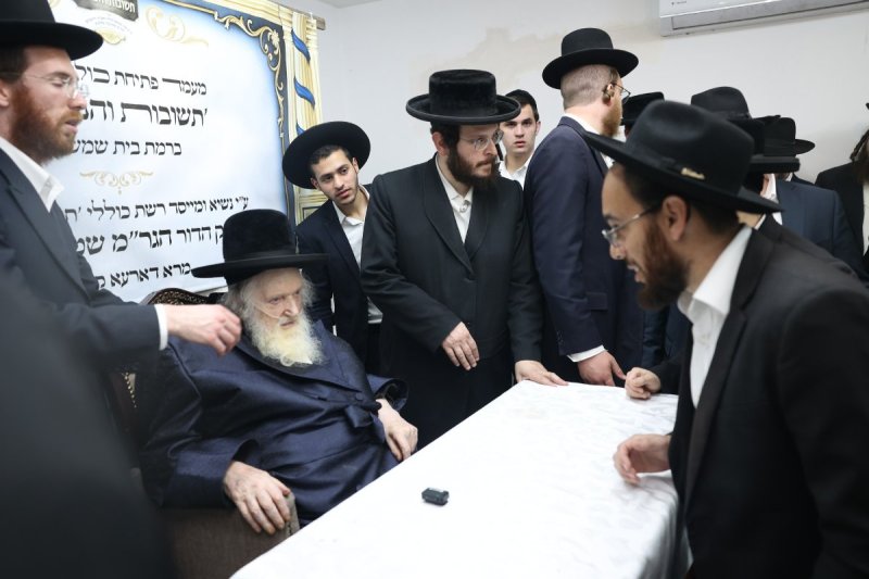 לוי עמית