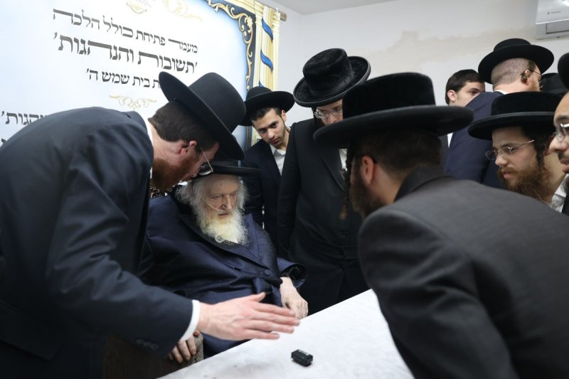 לוי עמית