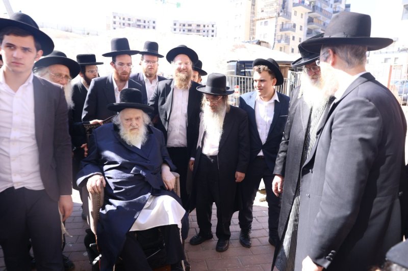 לוי עמית