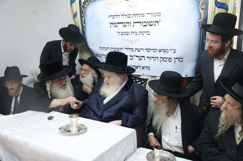 לוי עמית