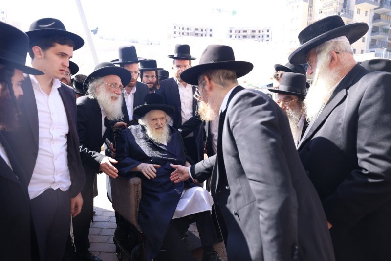 לוי עמית