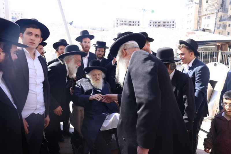 לוי עמית