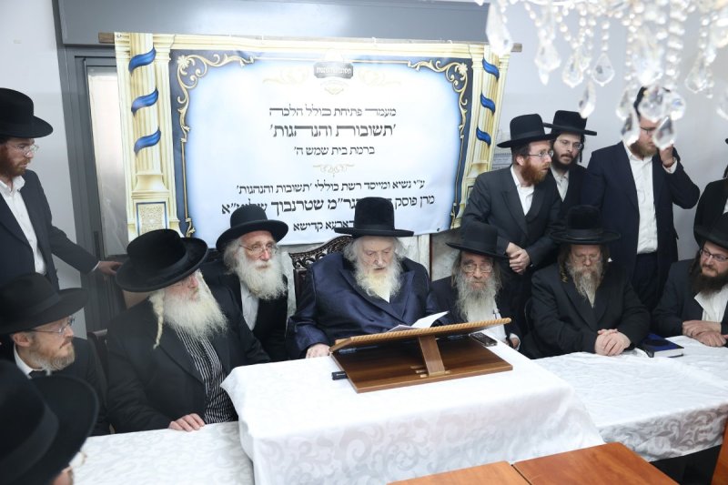 לוי עמית