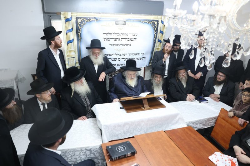לוי עמית