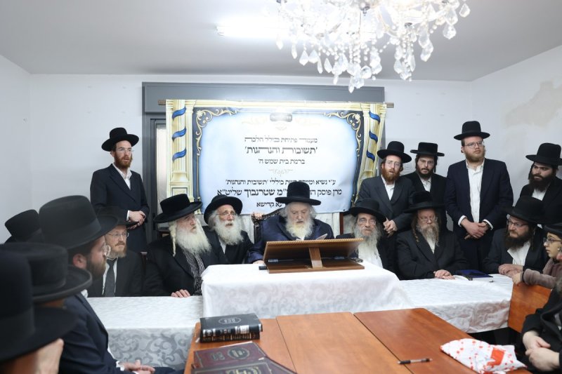 לוי עמית
