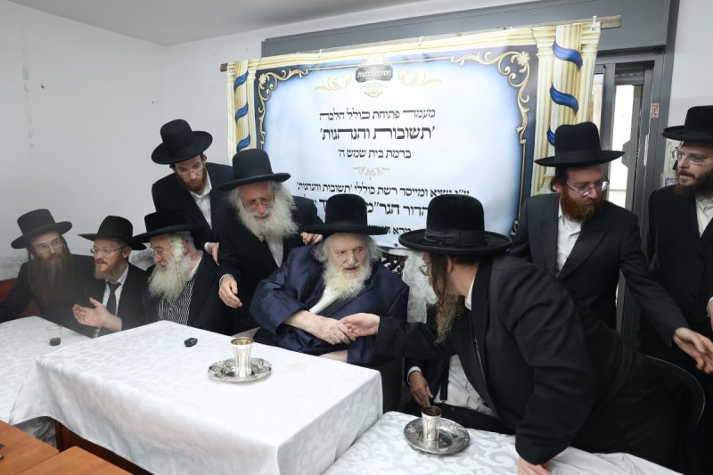 לוי עמית