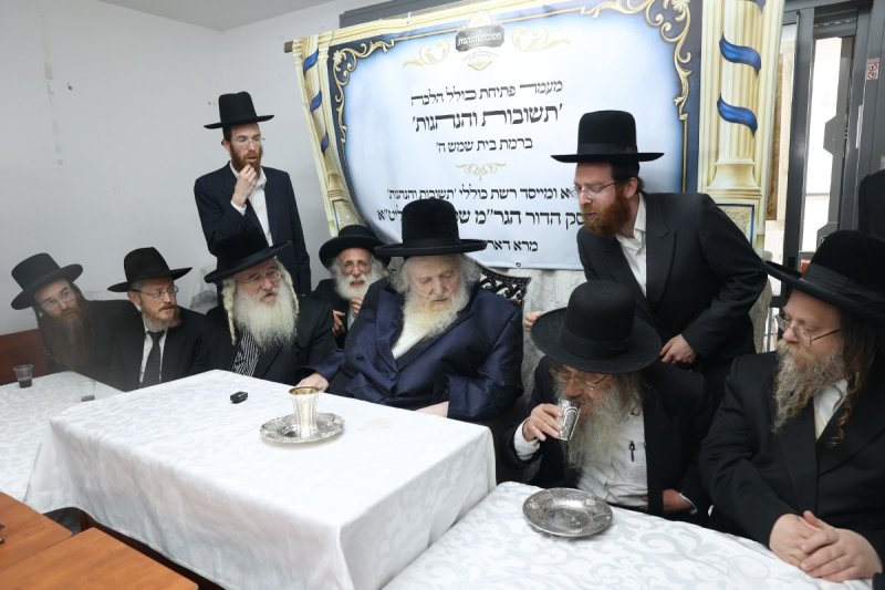 לוי עמית