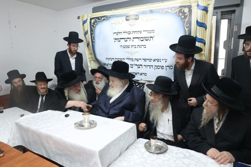 לוי עמית