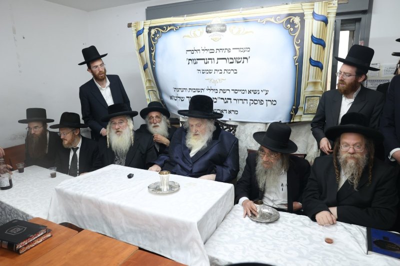 לוי עמית