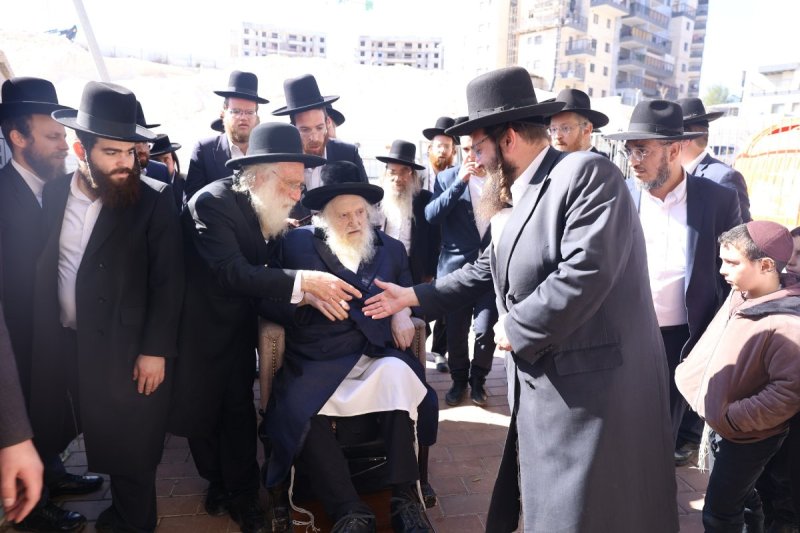 לוי עמית