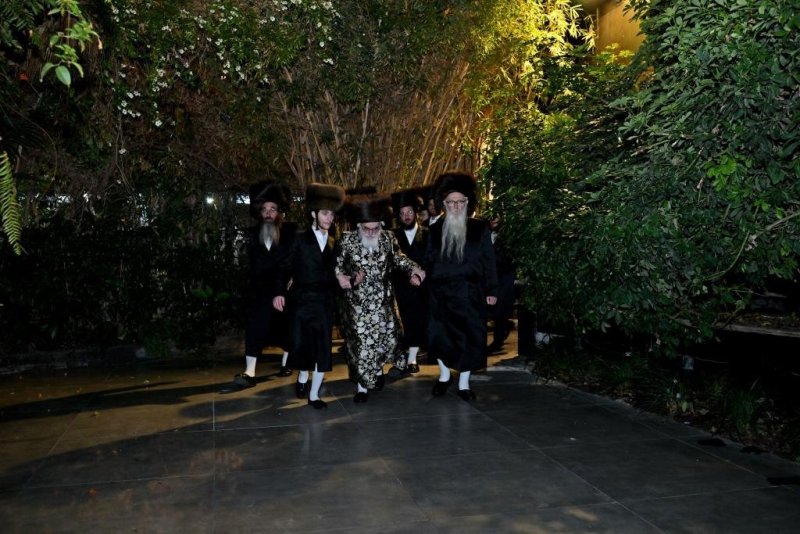 יהושע פרוכטר