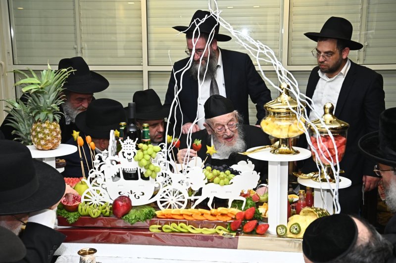 שוקי לרר