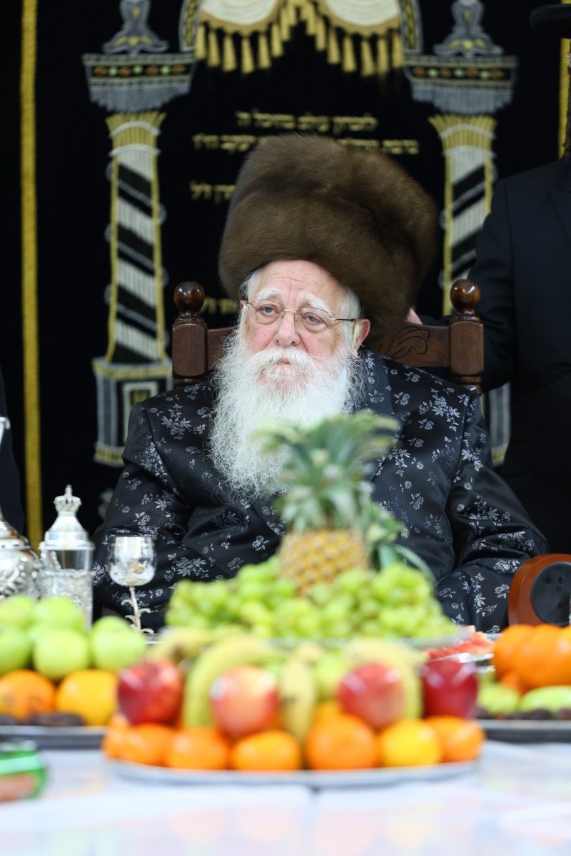 שמואל שנקר