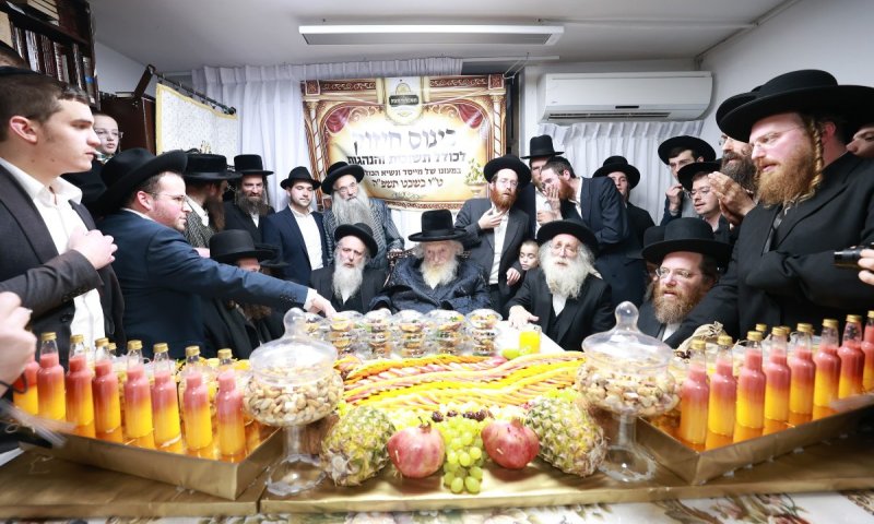 פירותיך מתוקים: ט"ו בשבט אצל פוסק הדור הגר"מ שטרנבוך