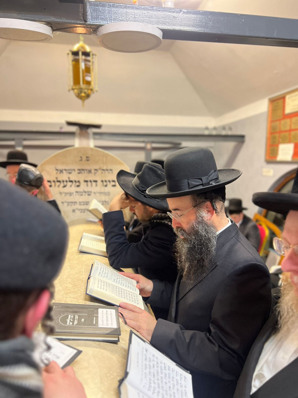 באדיבות המצלם